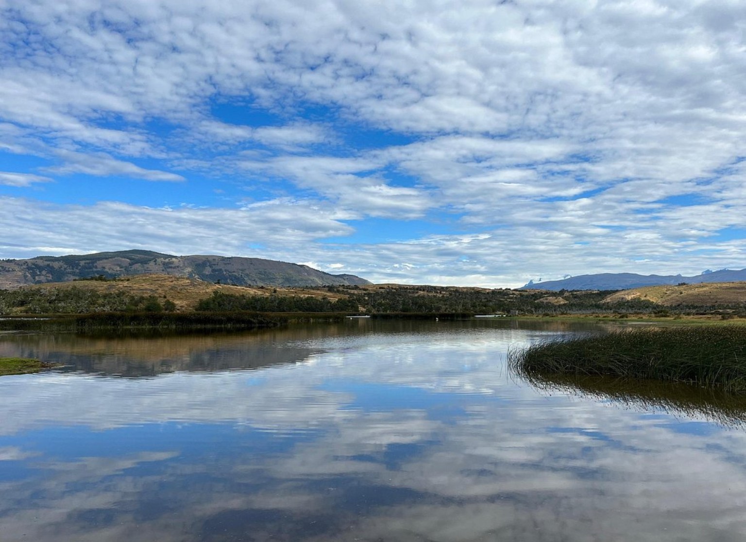 Humedal de Patagonia