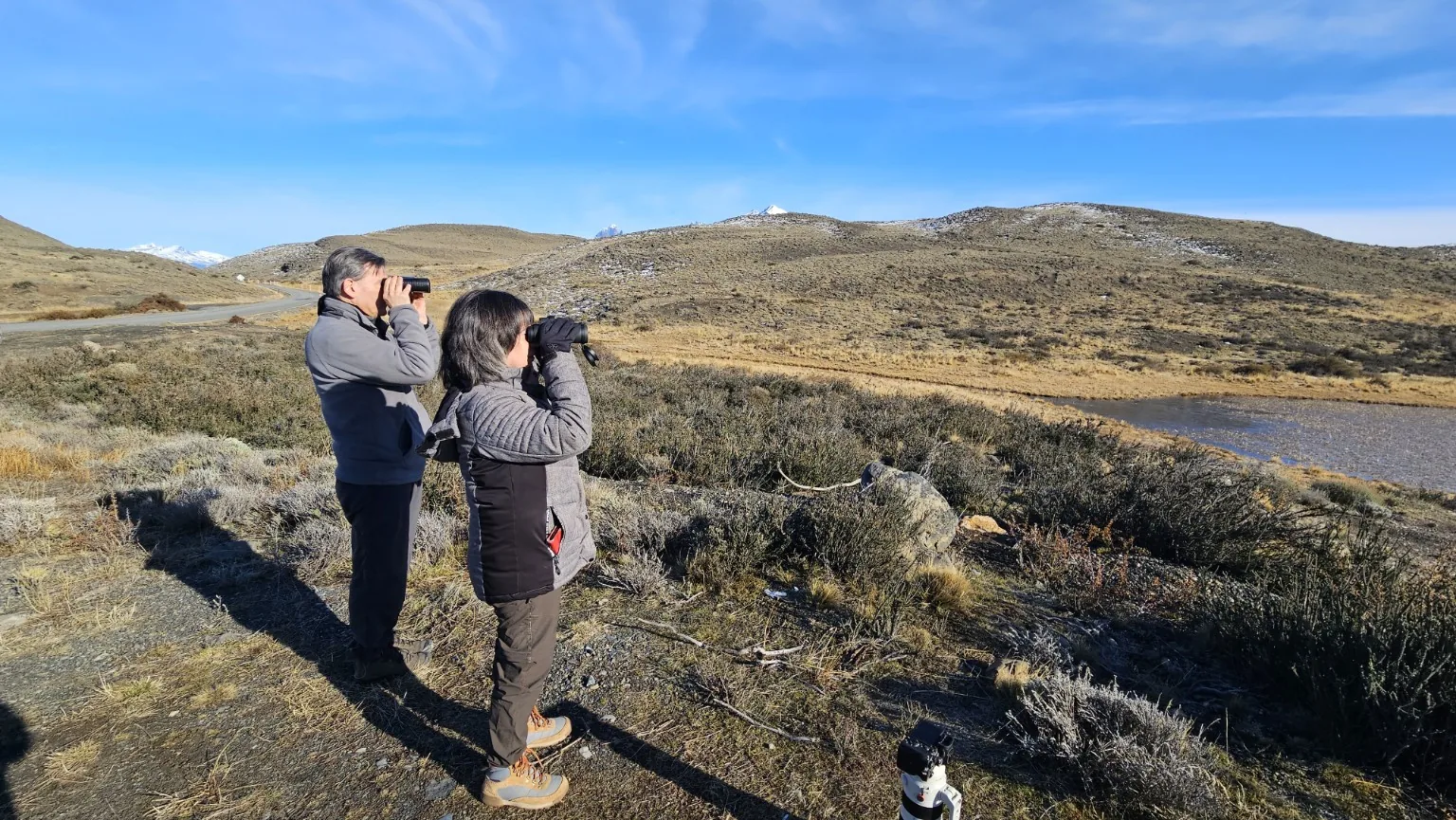 Guests observing wildlife during Puma Tracking