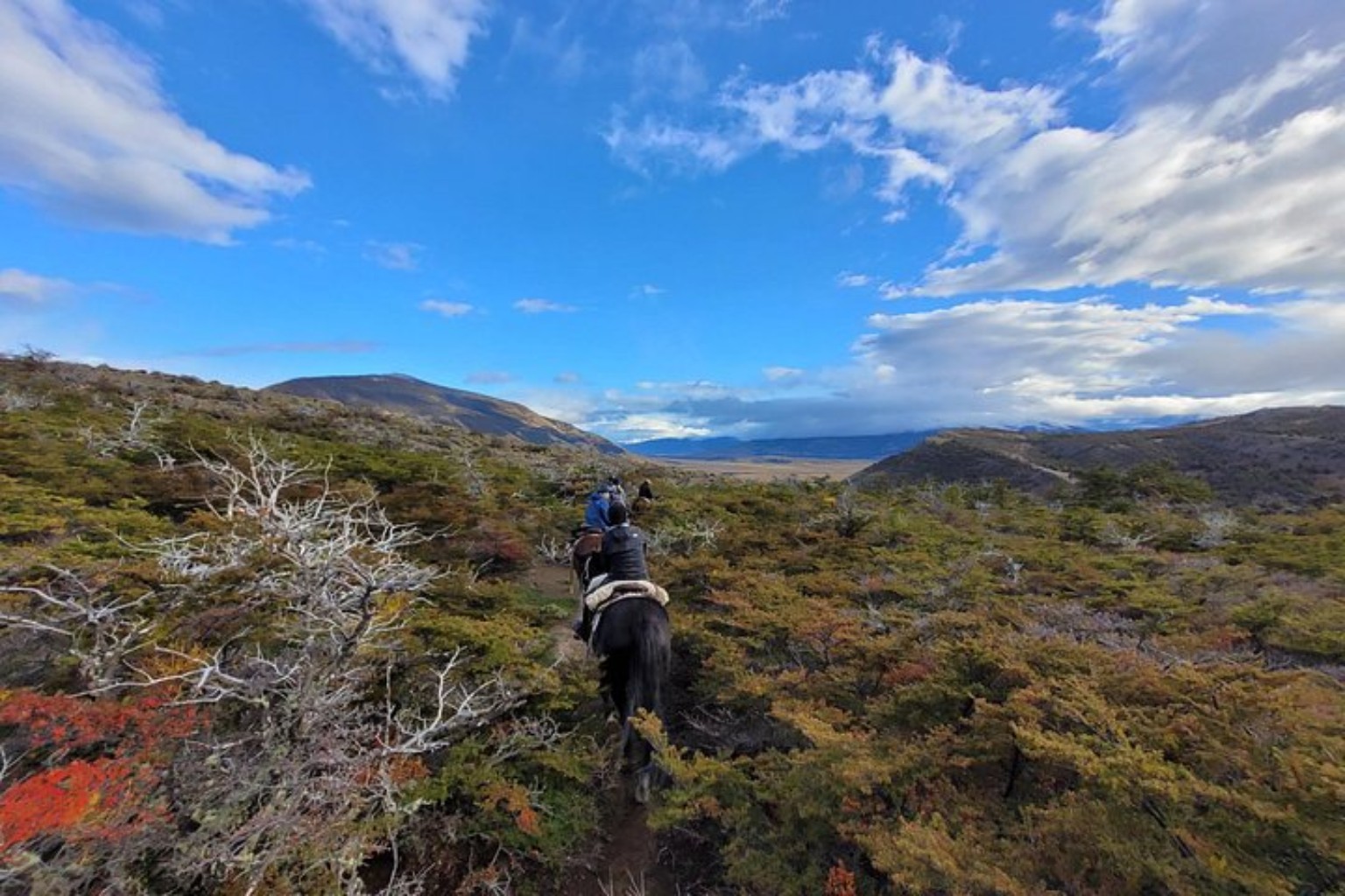 Horseback ride through Patagonian forest