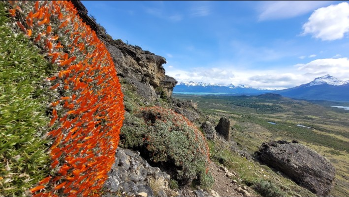 Landscape and vegetation at Rupestre Patagonia